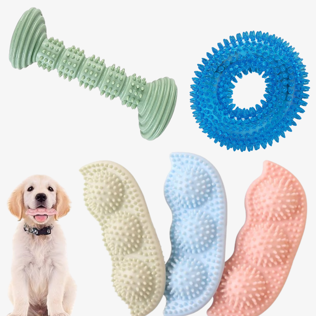 Dog Chew Toys for Puppy Teething, 2-8 Months Puppies